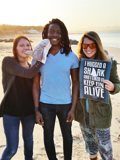 Shark awareness campaign kicks off